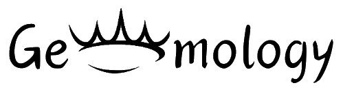 Geomology Full Logo